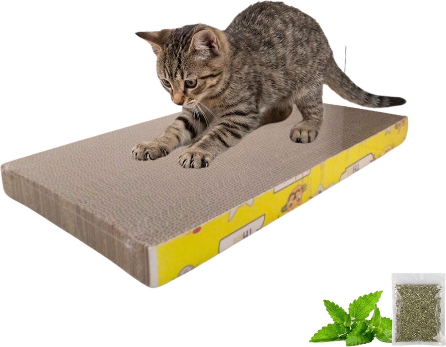 emily pets Cat Scratching Pad-picture-38
