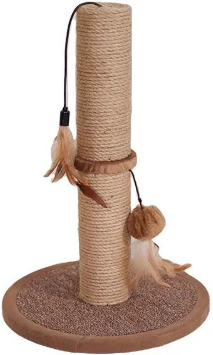 emily pets Cat Scratching Pad-picture-14