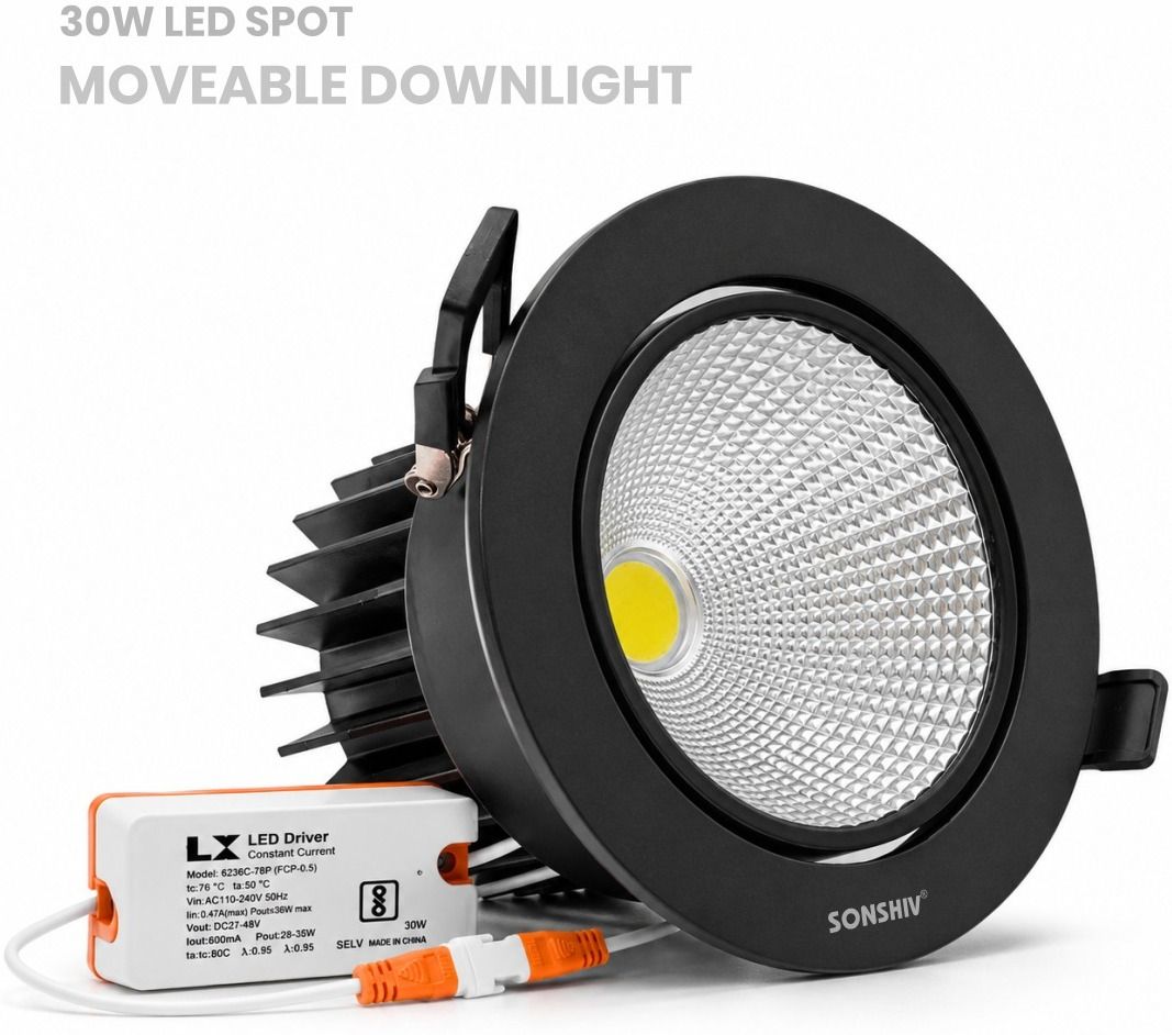 30W COB MOVABLE DOWN LIGHT BLACK BODY Cob Light Ceiling Lamp-image-44