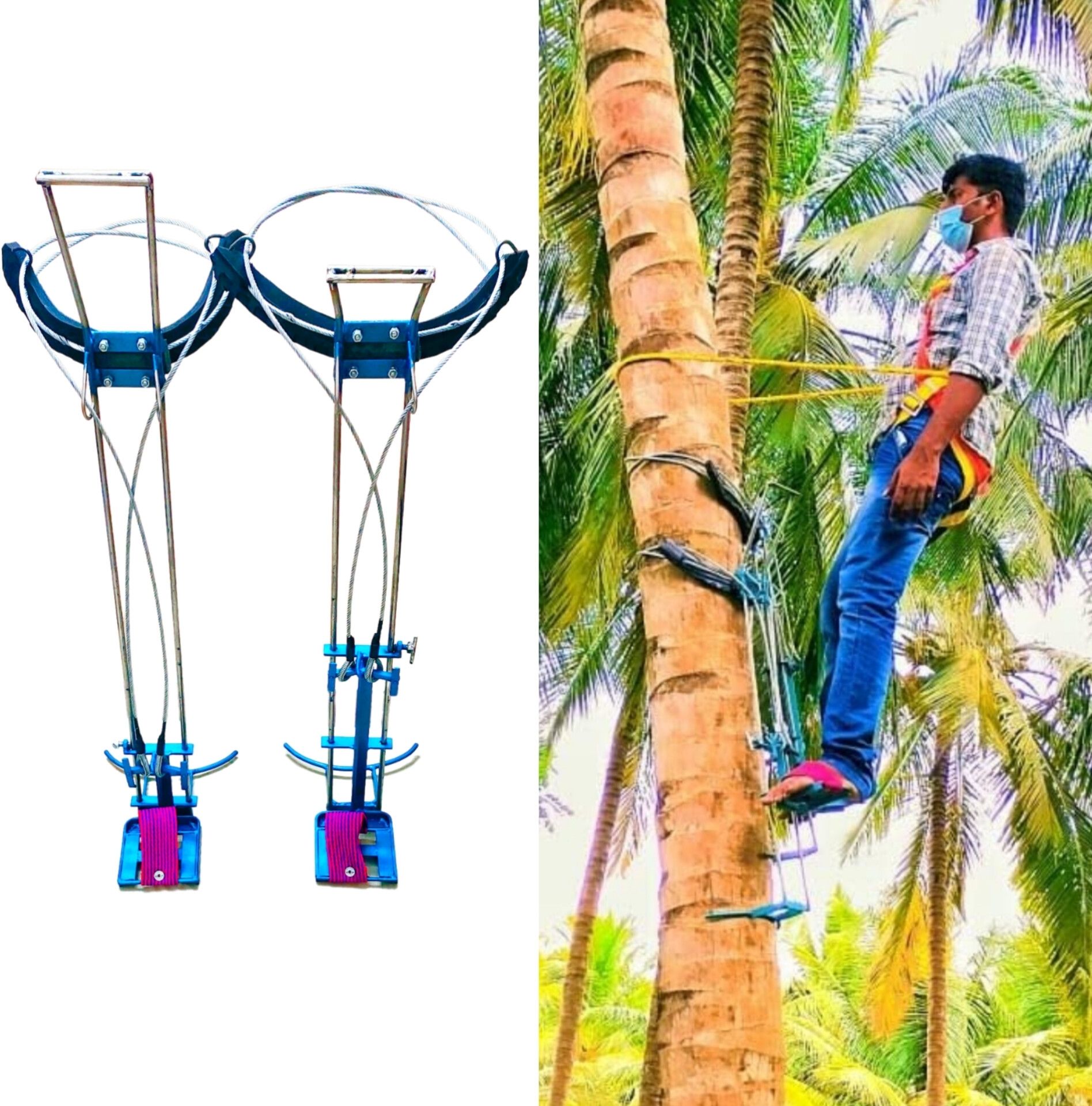 Coconut tree climber with Full body Safety Belt 100% Safe Climbing Hold-image-31