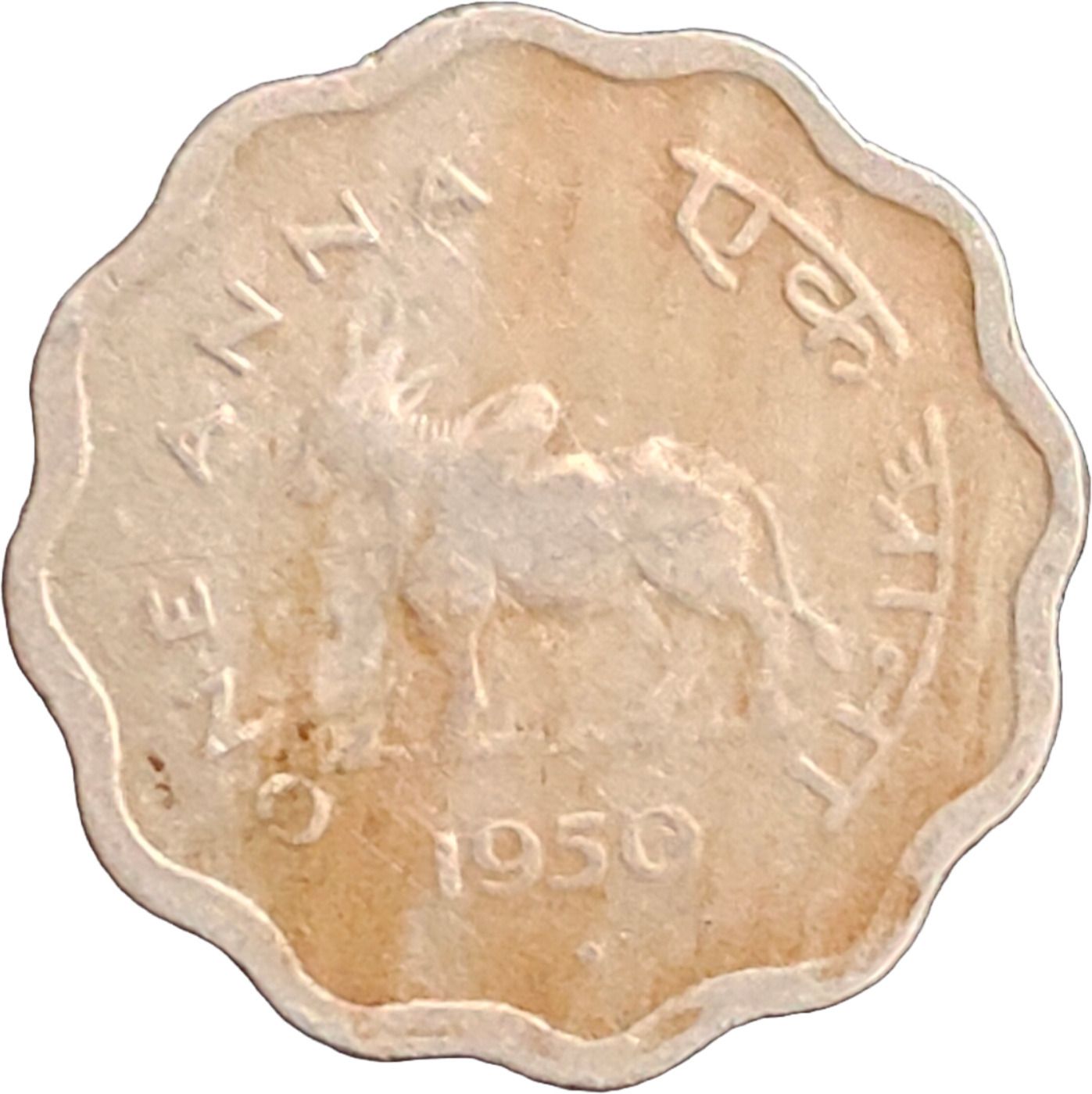 antiqueway Scrace 1 Anna 1950 Bull Copper-Nickel India Medieval Coin Collection-picture-21
