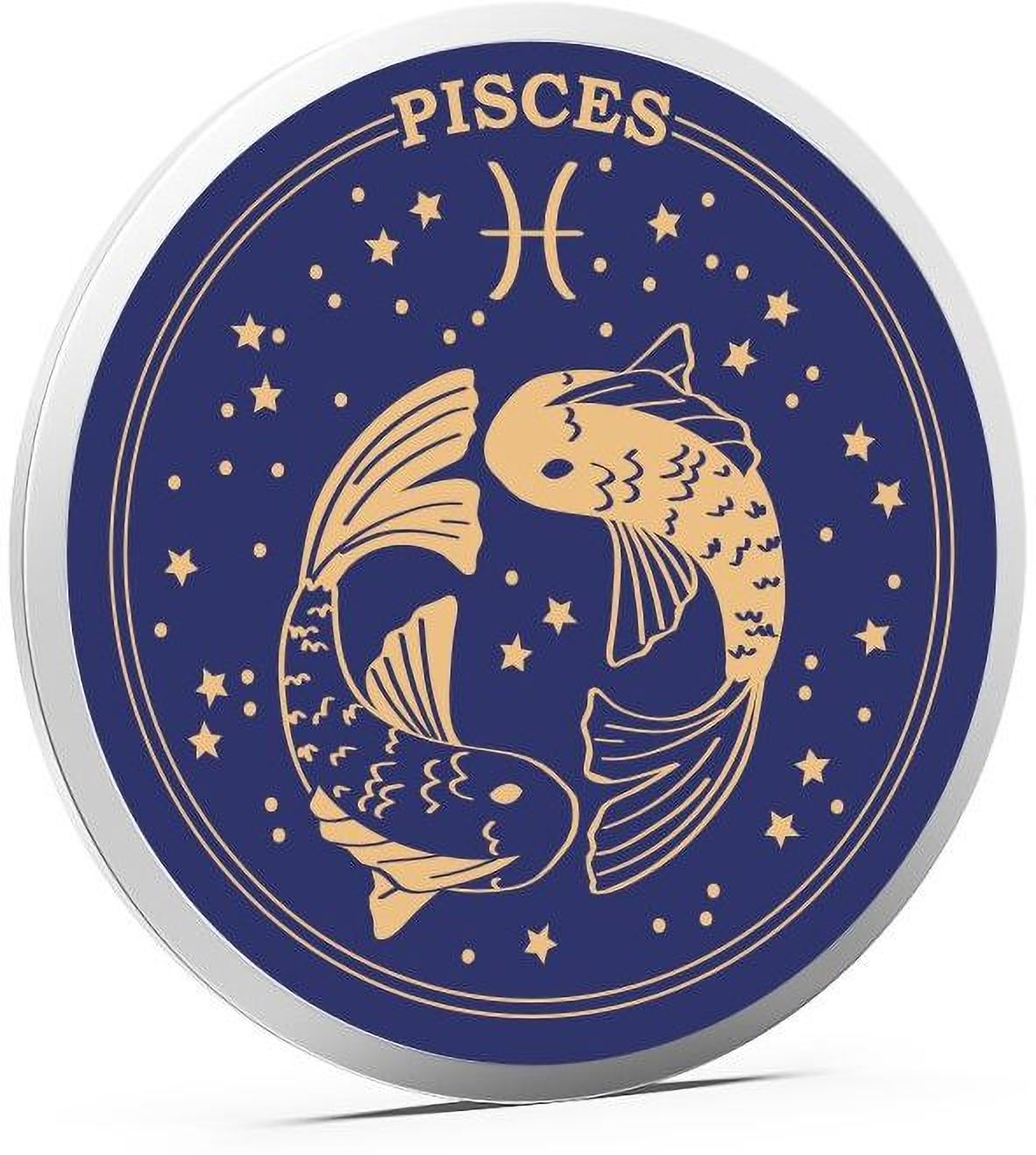 Pisces P-YNK S 999 20 g Silver Coin-image-16