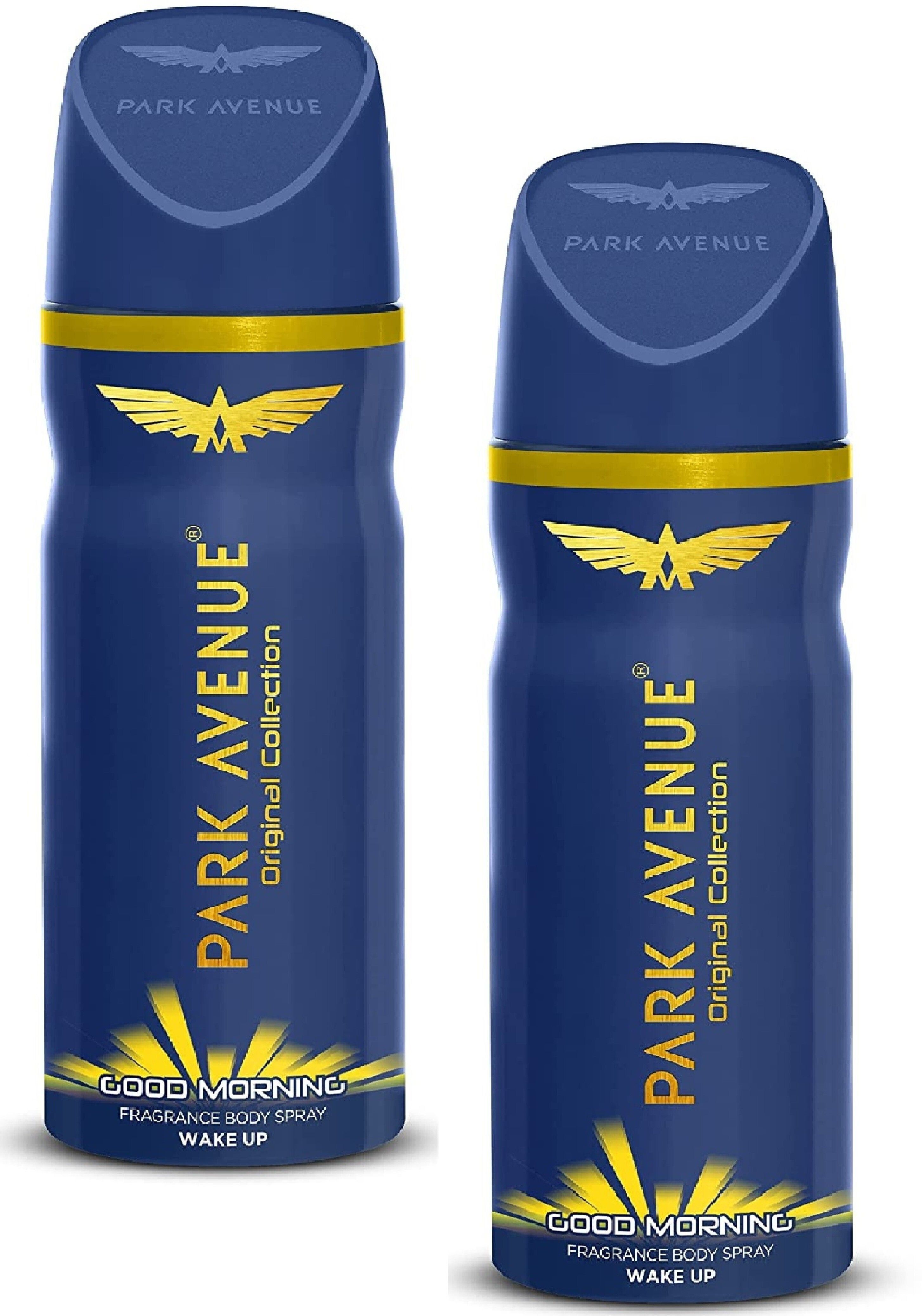 GOOD MORNING DEODORANT FOR MEN, 150ML PACK OF 2 Deodorant Spray - For Men-image-14
