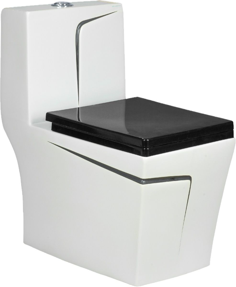 Designer Rimless Flushing Western Toilet Commode EWC Floor Mounted S Trap 225mm Western Commode