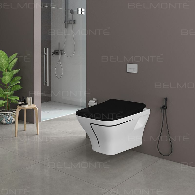 Ceramic Wall Hung/Western toilet with slow motion seat cover Wall Hung Toilet/Water closet/Wall mount commode/Western toilet Western Commode-image-10