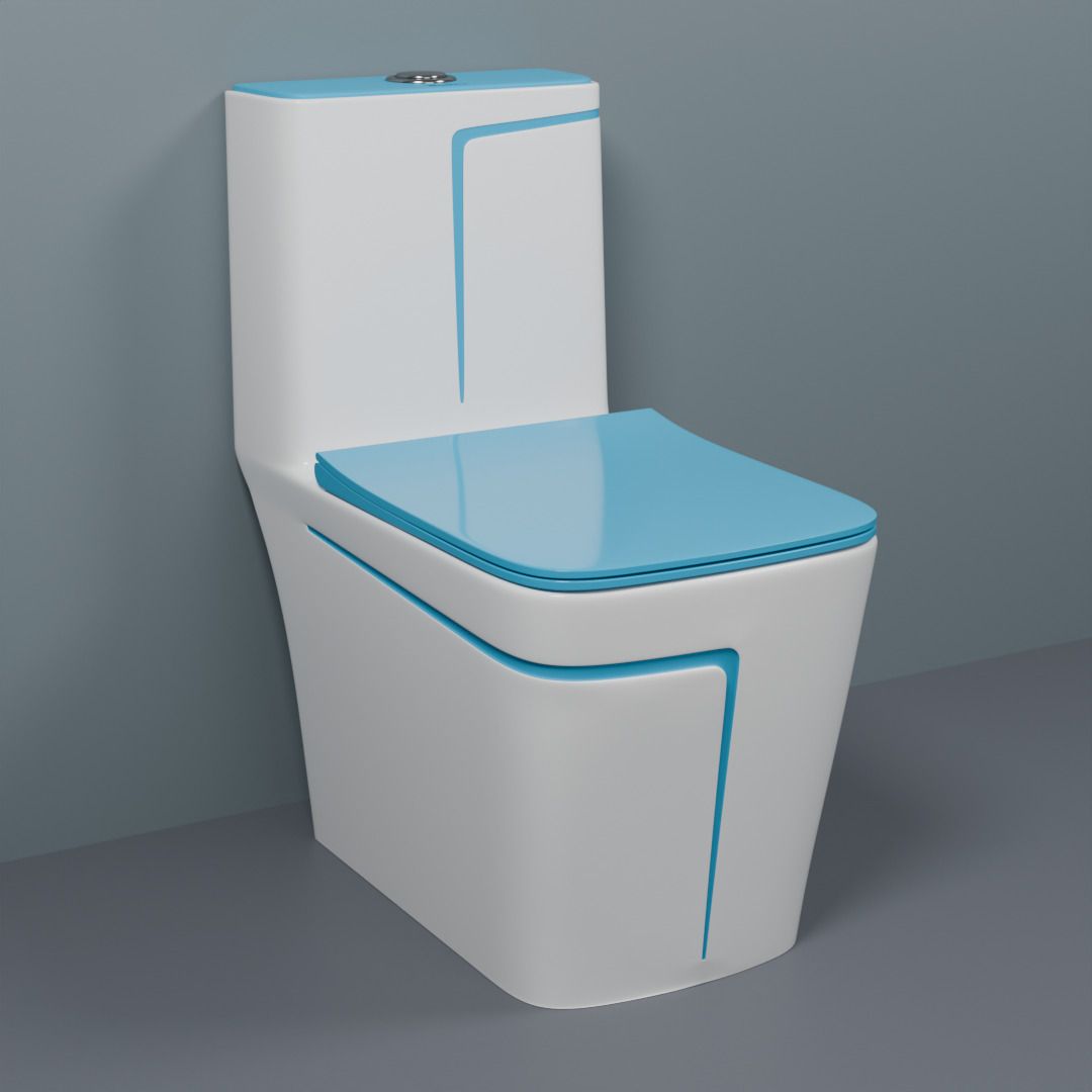 Dimond Quality LT03 White commode with SKY Blue Finishing Line and Round Flush Button Western Commode-image-8