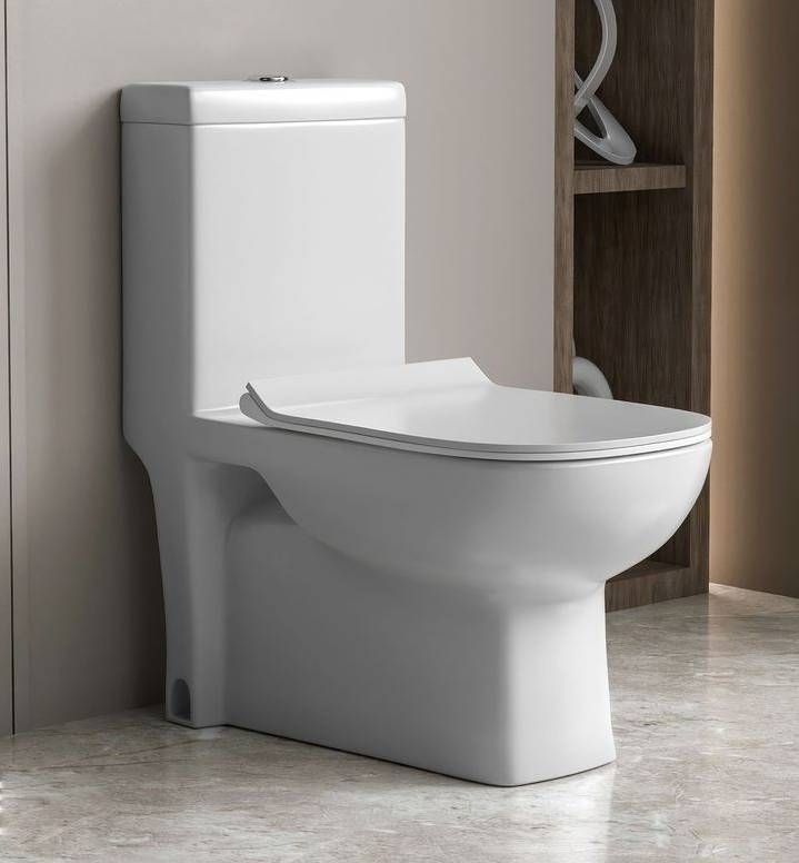 eden Bath MX/ S TRAP 22cm OR 9inch/ Floor Mount/ Heavy Washdown Flush/ 66.5*36*77.5cm/ 26*14*30inch/ EWCs / One Piece Toilet/ Western Commode-picture-11