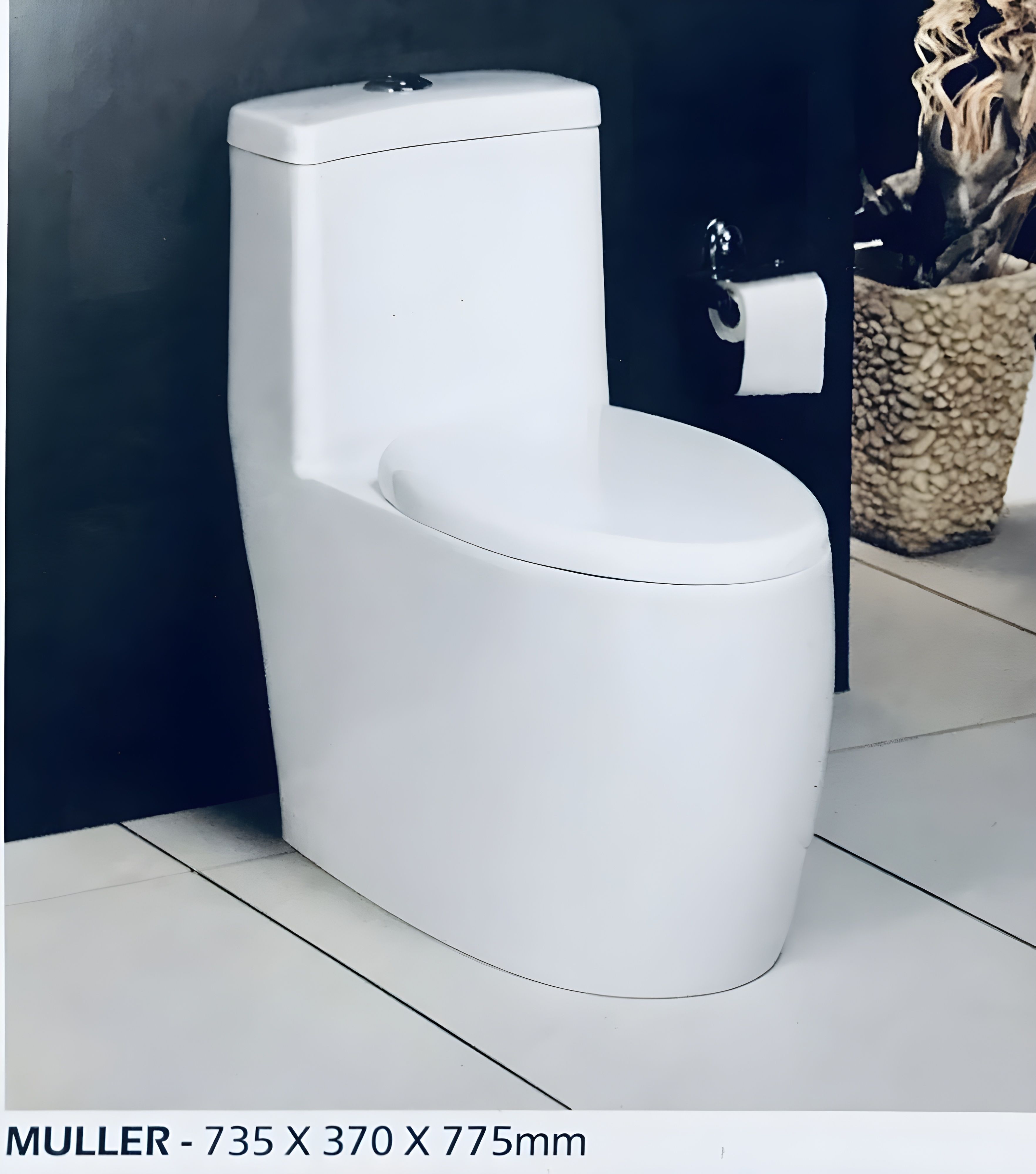Muller Single Piece V-10003 Western Commode-image-8