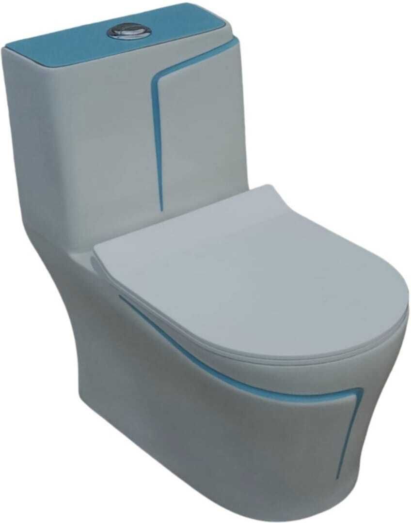 Ceramic Shining white commode with Blue Finishing Line and Round Flush Button Western Commode-image-12
