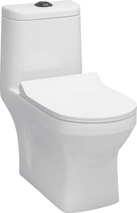 Bath Roger / S Trap 22cm OR 9inch/ Floor Mount/ Rimless/ Heavy Washdown Flush/ 66.8*35.5*73cm/ 26*14*29inch/ EWCs / One Piece Toilet/ Western Commode-image-12