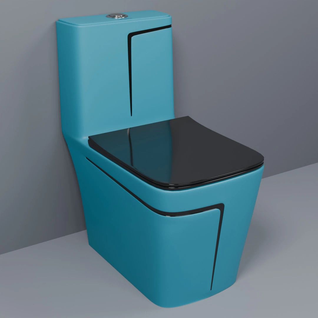 C/T012 Premium Quality Shining Matt SKY Blue Commode With Black Finishing Line And Round Flush Button Western Commode-image-35
