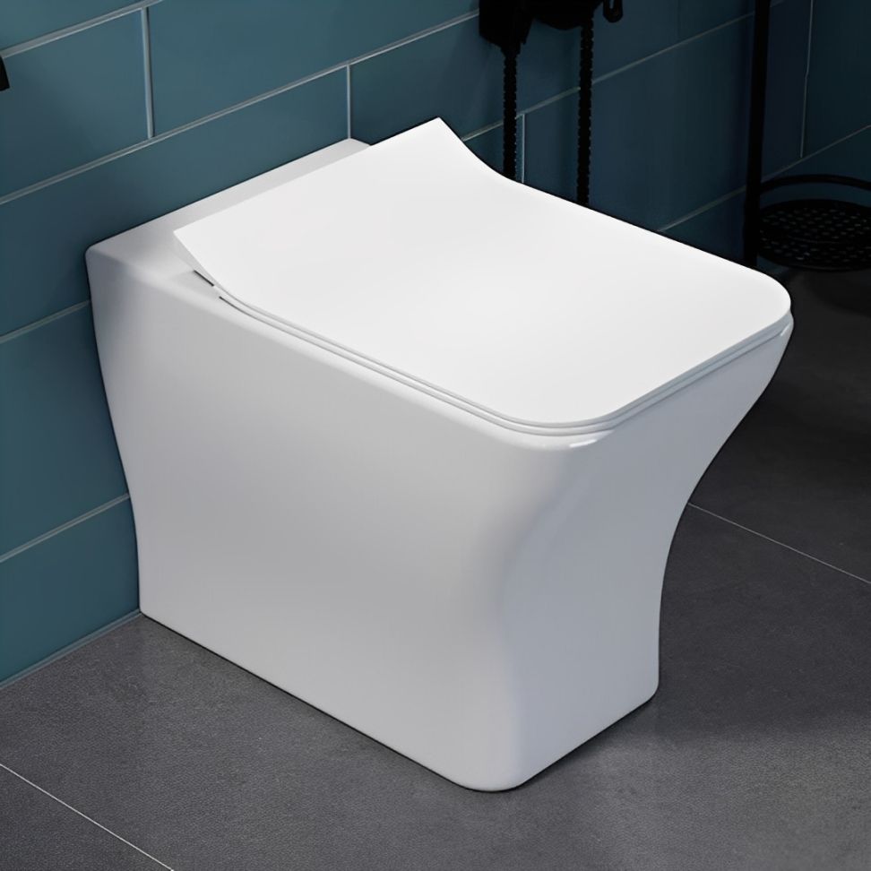 Estella flor mounted | Western Commode for Bathroom | Made For Ceramic | | Made of Ceramic | Soft Close | Dual Flush Water Saving | S.Trep | Western Commode