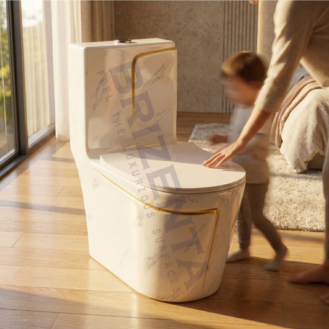 1008BB Premium Ceramic Western Toilet/Water Closet/Commode With Soft Close Platinum Ceramic Western Toilet/Water Closet/Commode With Soft Close Toilet Seat Western Commode-image-10