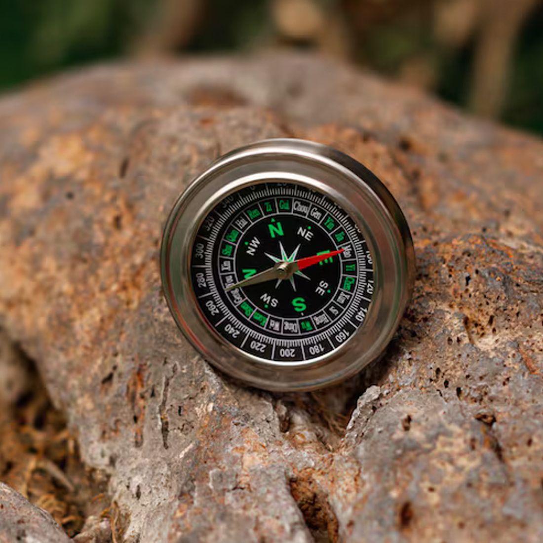 compas The Magnetic Faithful Needle: Stories of the Compass Compass-picture-26