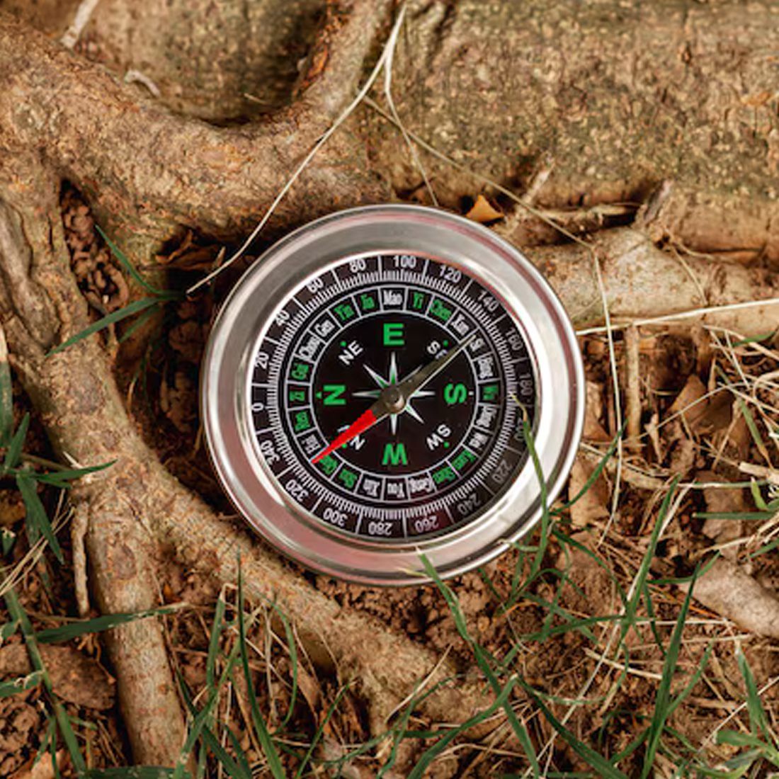 Small Useful Magnetic Faithful Needle: Stories of the Compass Compass-image-38