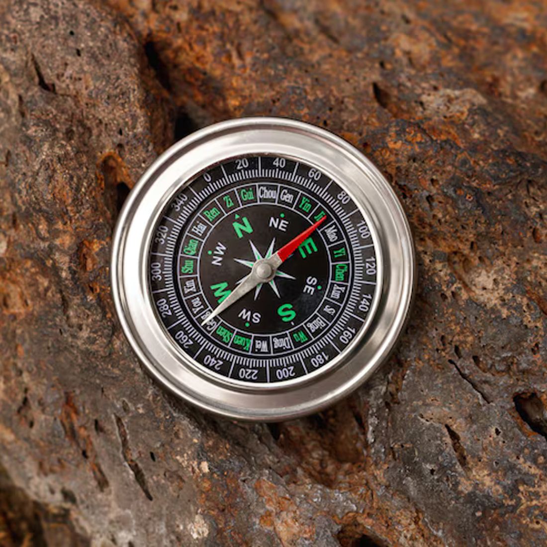 compas Whispers of the Magnetic Field: The Small Compass Through Time Compass-picture-21