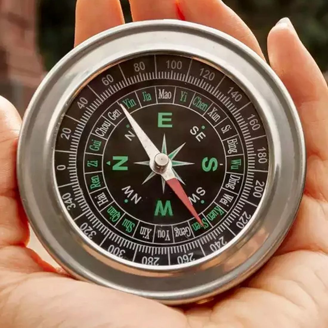 compas Beyond North: The Science and Art Navigation of the Compass Compass-picture-31