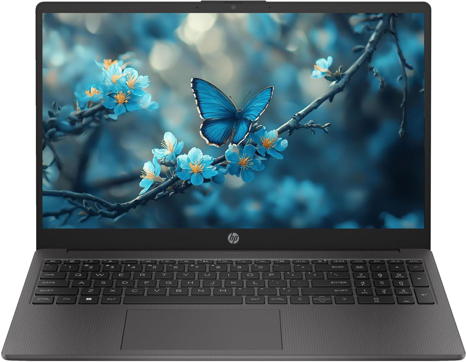 HP 255 G10 (2025) AMD Athlon Dual Core 7120U - (8 GB/256 GB SSD/Windows 11 Home) 255 G10 Thin and Light Laptop-image-27