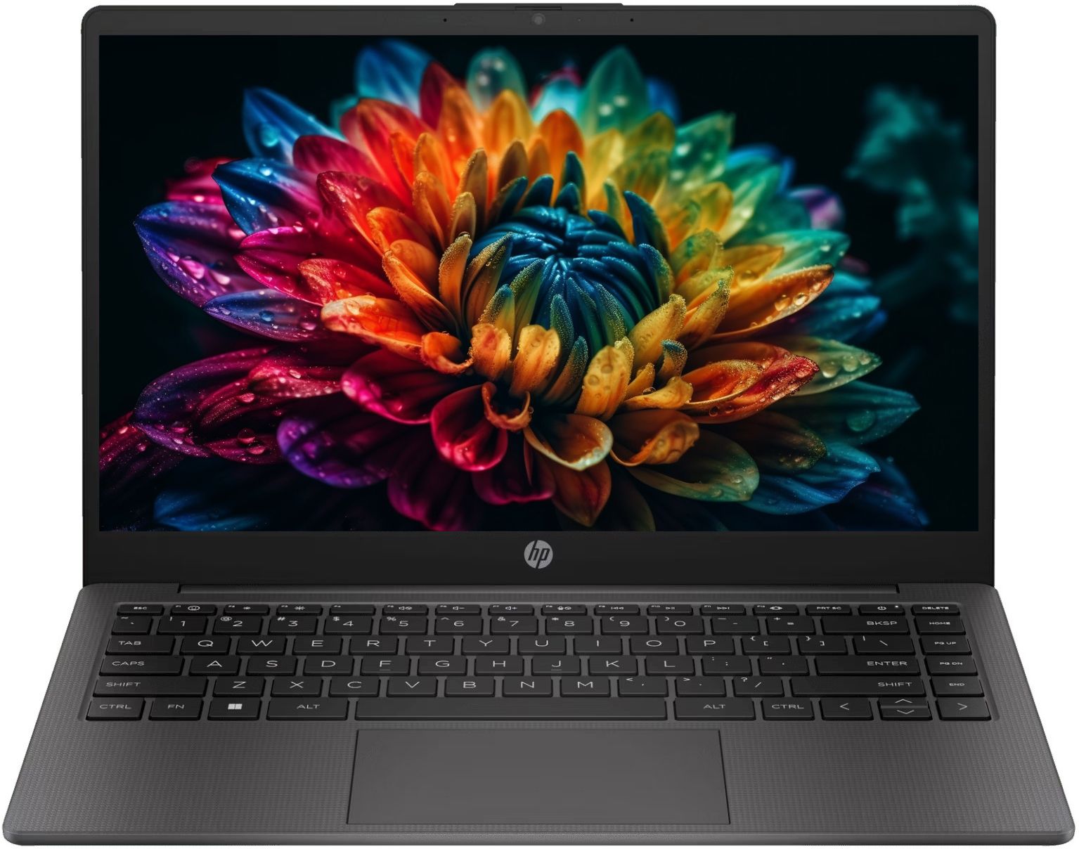 HP 245 G10 (2025) AMD Ryzen 5 Quad Core 7520U - (8 GB/512 GB SSD/Windows 11 Pro) 245 G10 Thin and Light Laptop-image-37