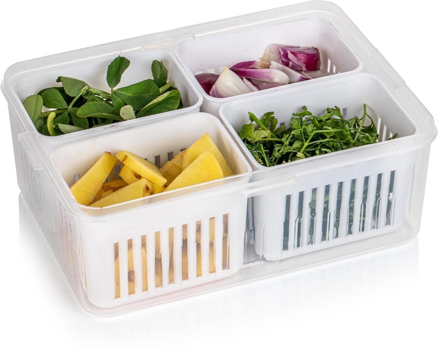 Fridge Storage Container for Kitchen_01 Container for Kitchen 2 L Compact Refrigerator