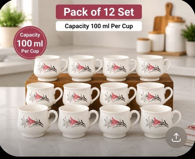 rimjhim Pack of 12 Ceramic-picture-29