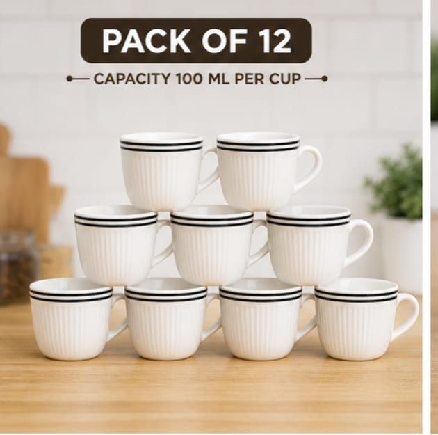shailendra Pack of 12 Ceramic-picture-24
