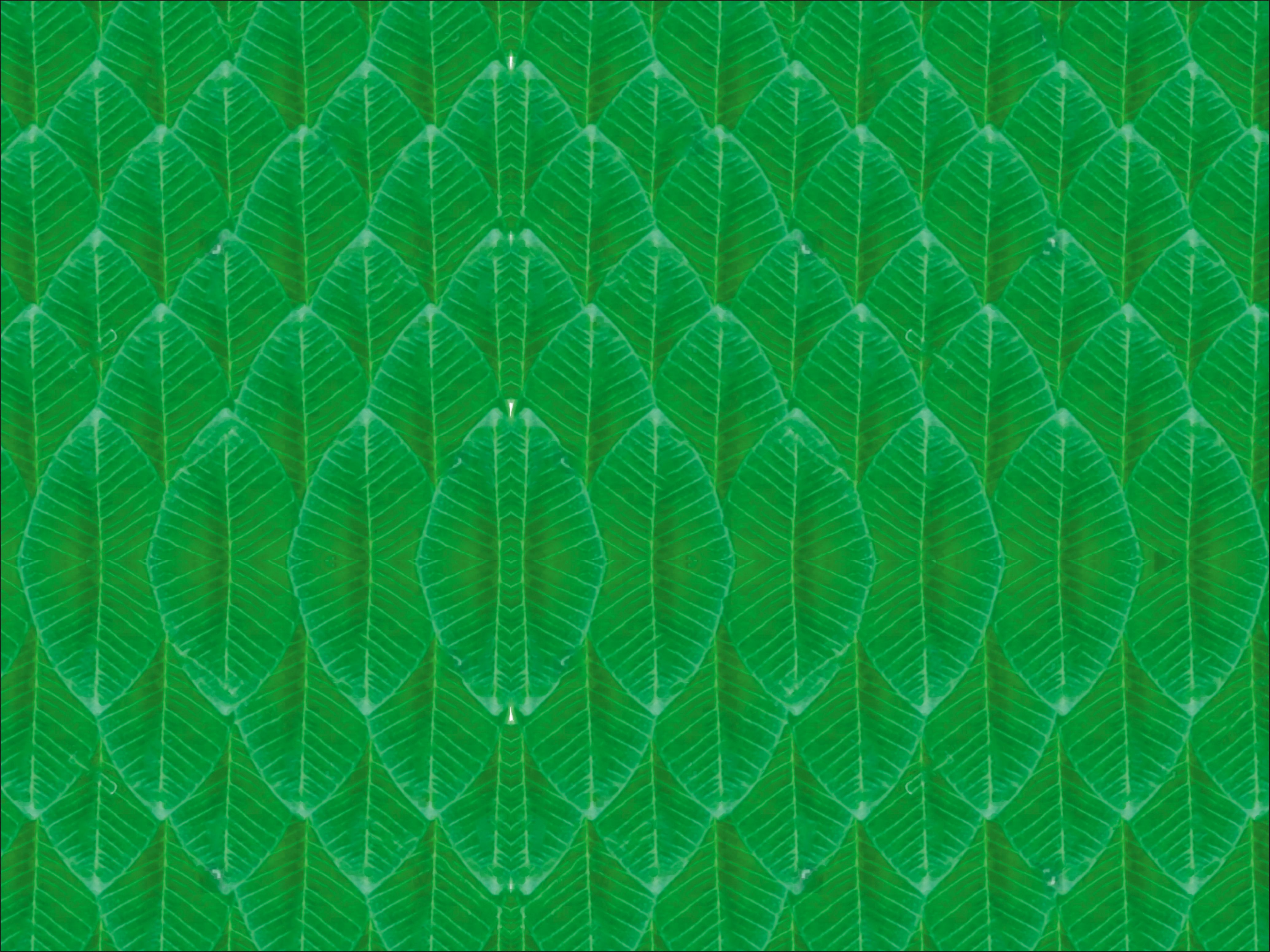 Leaf Curtain Backdrop Decoration Curtain Fabric-image-15
