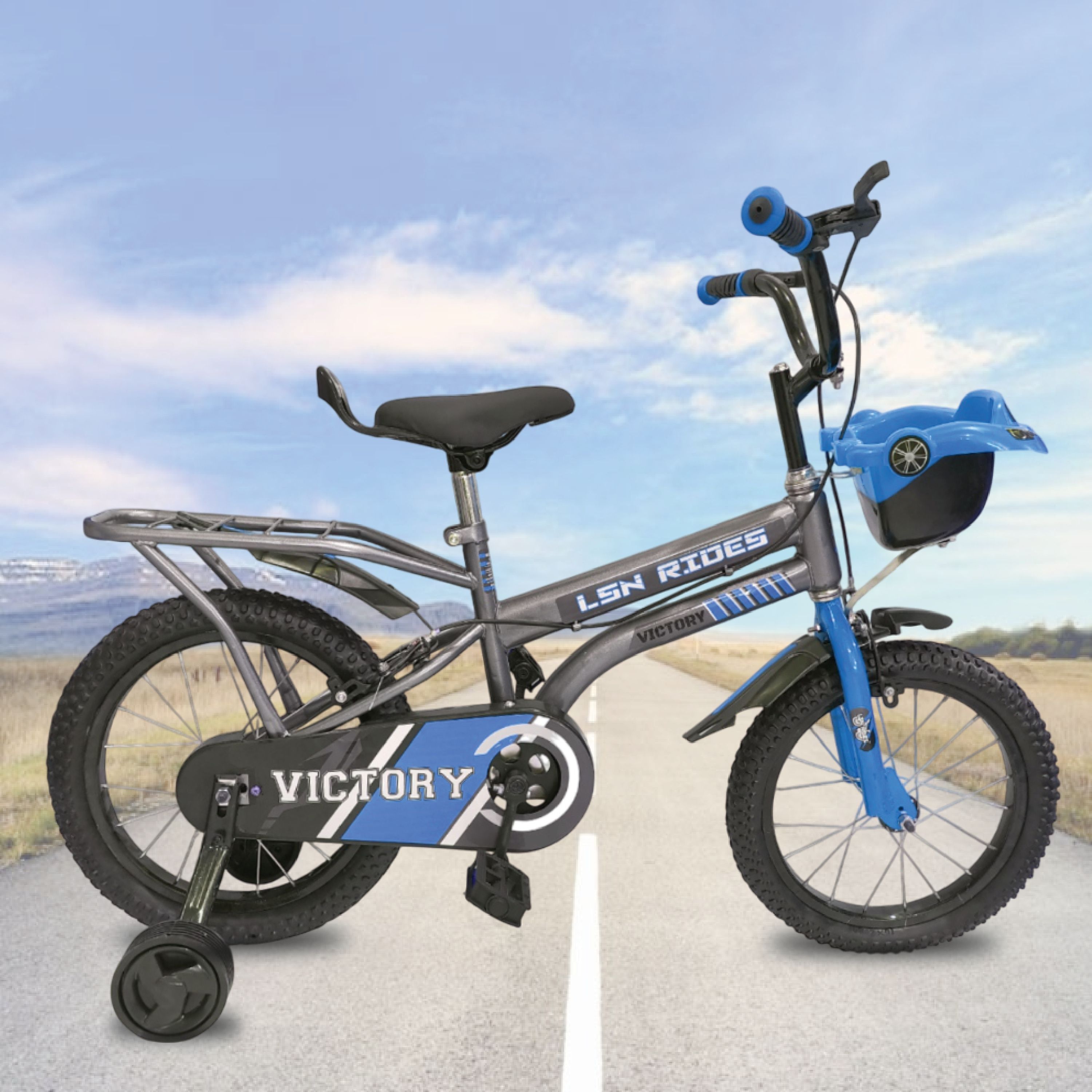 16T VICTORY BLUE M RIM BICYCLE FOR KIDS 90% ASSEMBLED BICYCLE TRAINING WHEEL 16 T (inch) BMX Cycle-image-15