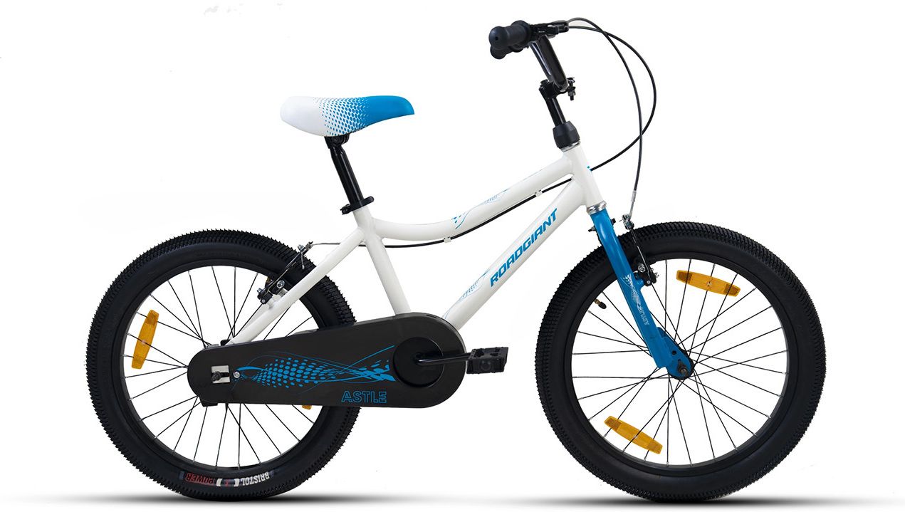 Pro ASTLE 20 T (inch) Road Cycle-image-45