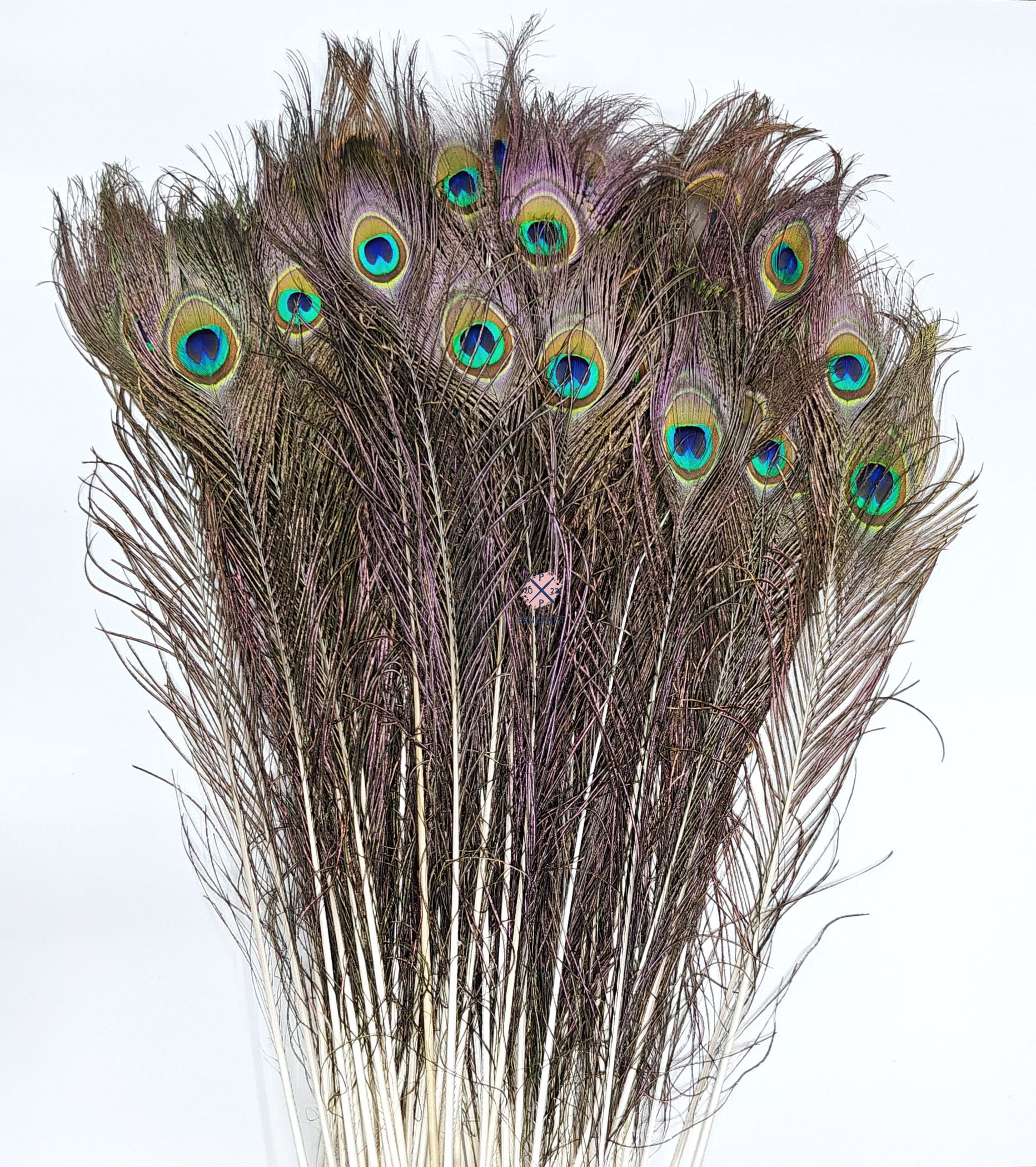 pencraft Pack of 99 Decorative Feathers-picture-20