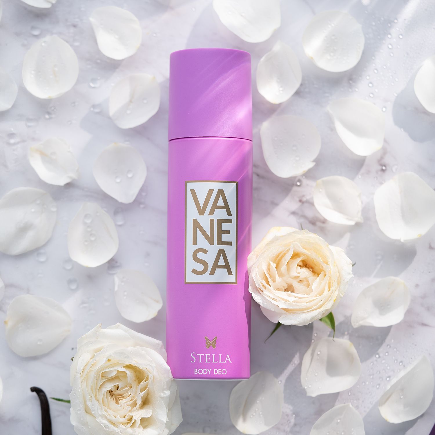 Stella Long Lasting Deodorant Spray-For Women-image-45
