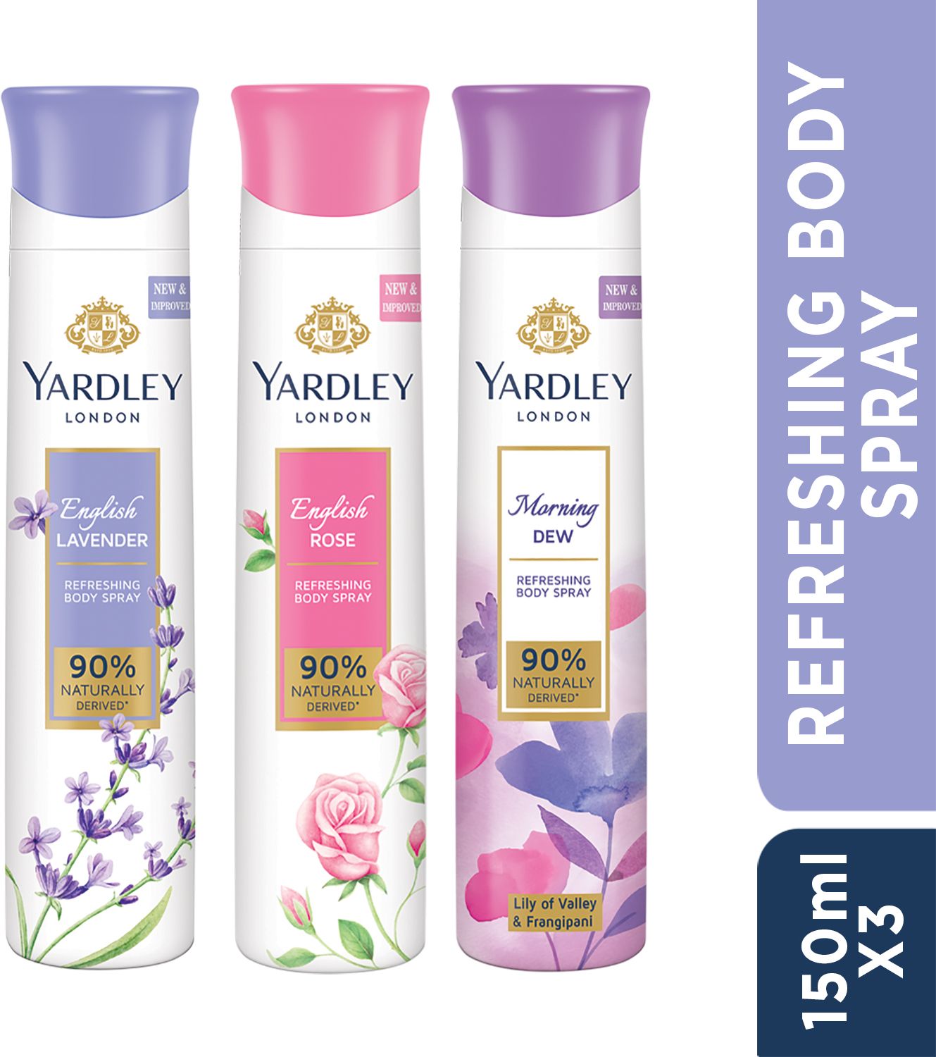yardley london Deo Tripack - English Lavender, English Rose, and Morning Refreshing Body Deodorant Spray-For Women-picture-26