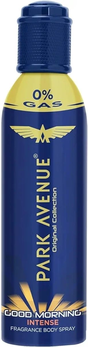 park avenue GOOD MORNING INTENSE FRAGRANT BODY SPRAY 120 ML Body Spray - For Men-picture-24