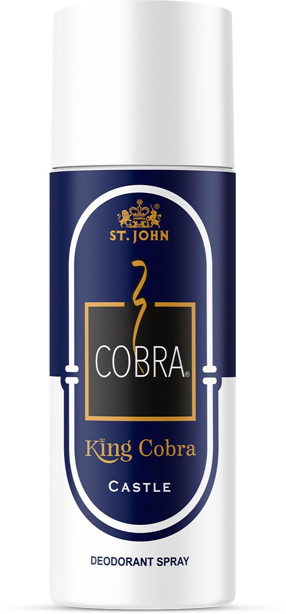 Castle Deodrant spray | 24 Hrs Long Lasting Deodorant Spray - For Men-image-30