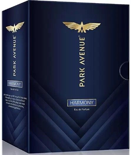 park avenue CONQUER PERFUME 50ML 1PCS Perfume Body Spray - For Men-picture-17