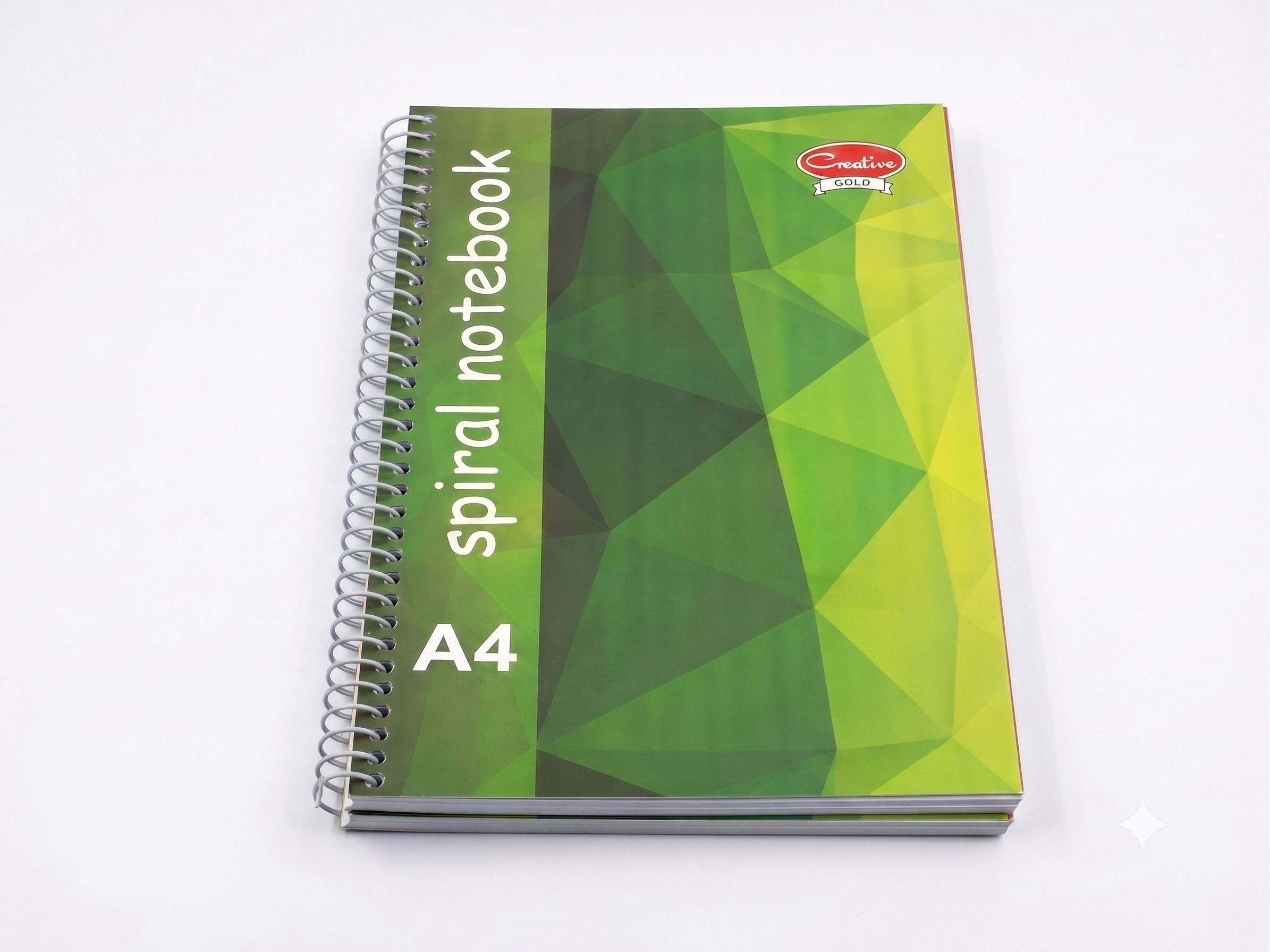 Creative Gold Spiral A4 Notebook Single Line Ruled 250 Pages-image-14