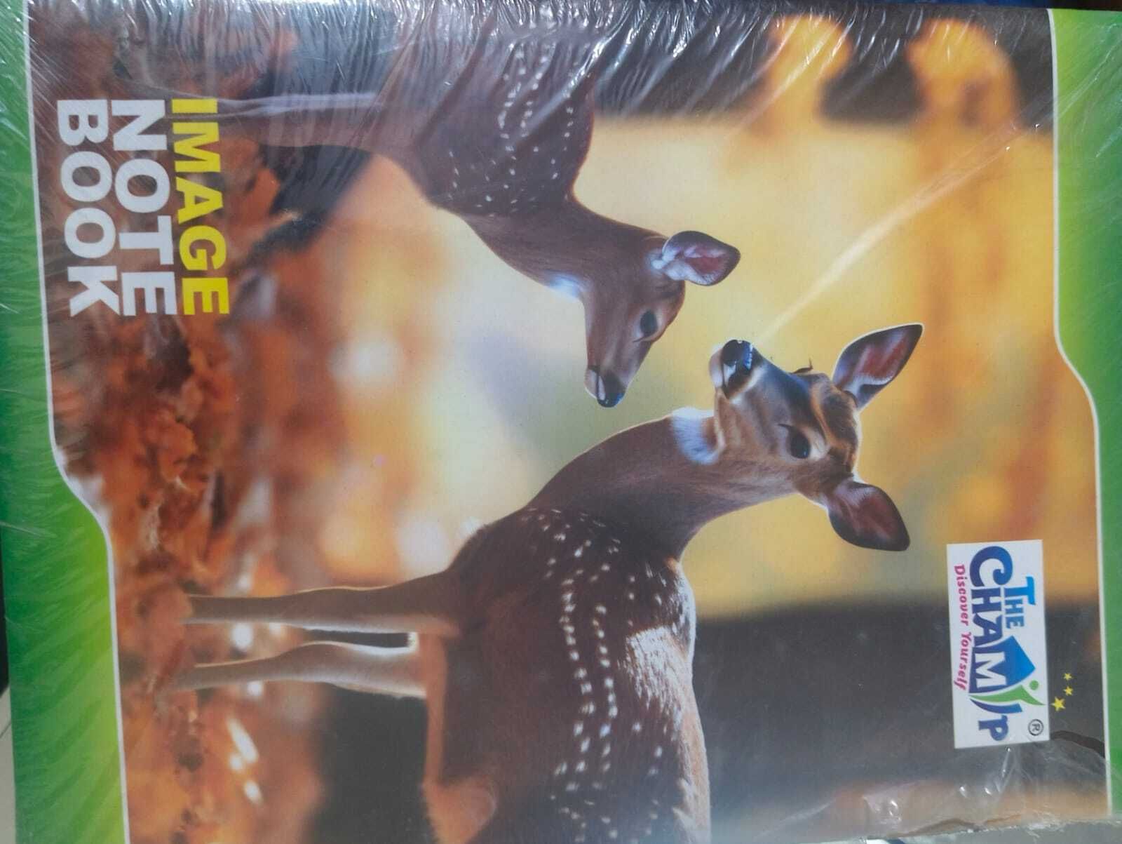 IMAGE NOTE BOOK B5 Notebook 120 Pages-image-1