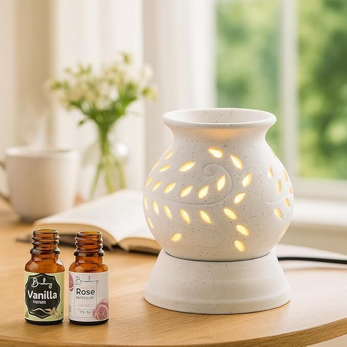 Radhika LEMON GRASS Diffuser Set CERAMIC BALL SHAPE WHITE ELECTRIC OIL DIFFUSER home, office Diffuser-image-36