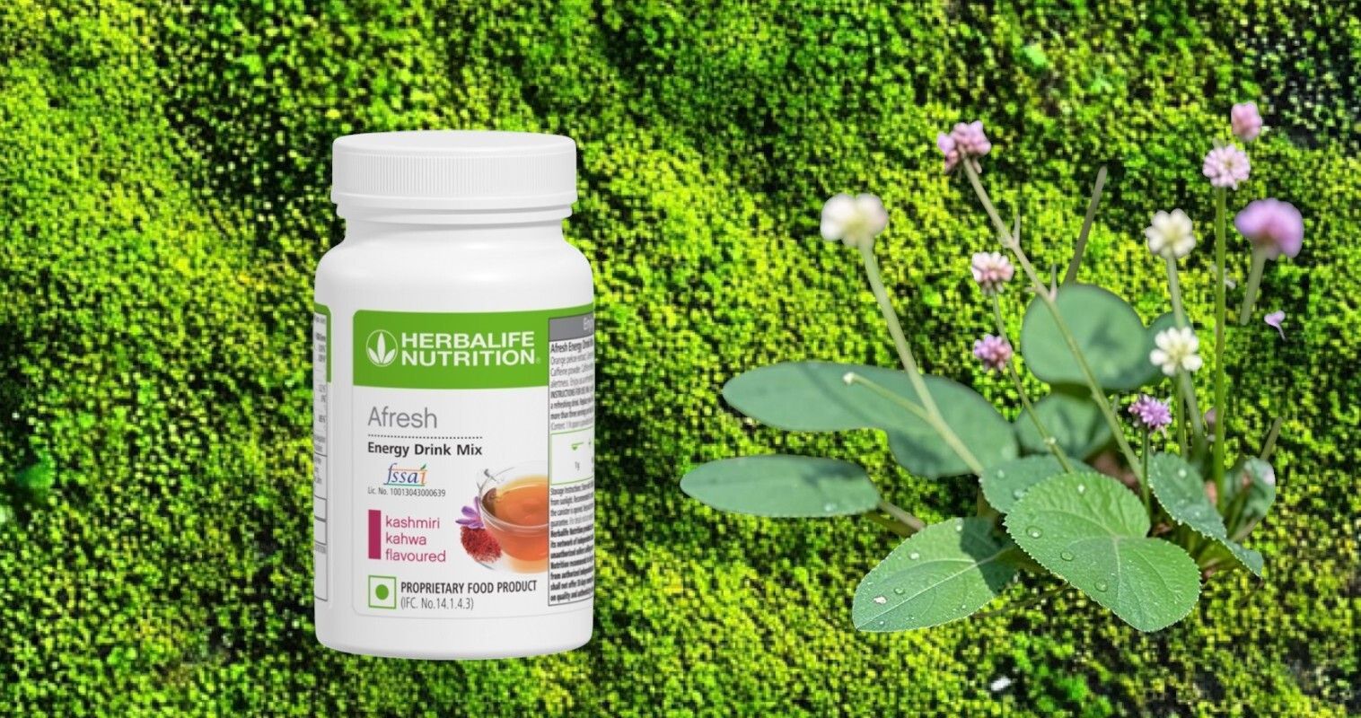 HERBALIFE AFRESH ENERGY DRINK- KASMIRI KAHWA 1 PACK. KASHMIRI KAHWA Powder-image-37