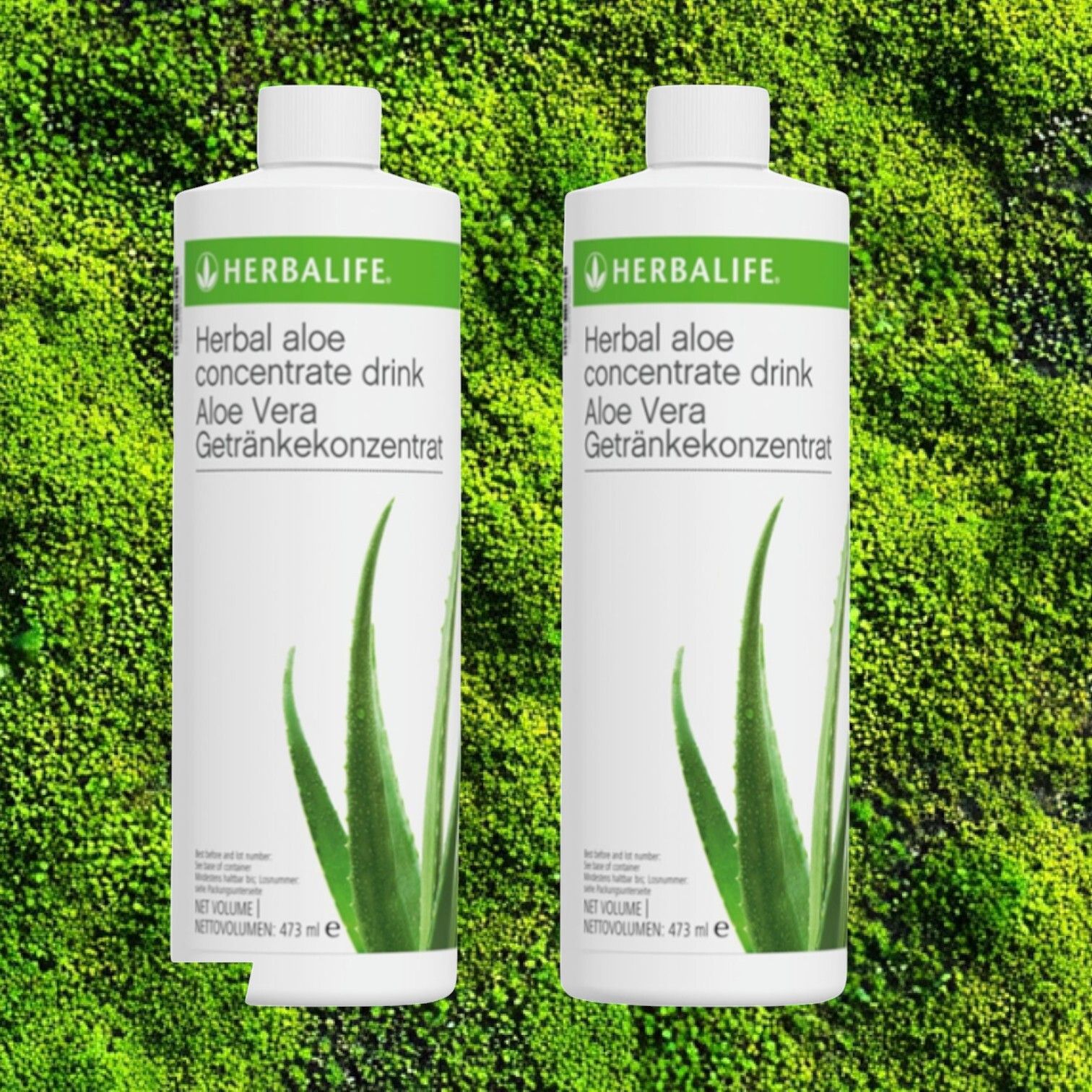 fitrams HERBALIFE HERBAL ALOE CONCENTRATE ORIGNAL 500ML 2 PACK, UNFLAVOR Gel-picture-23