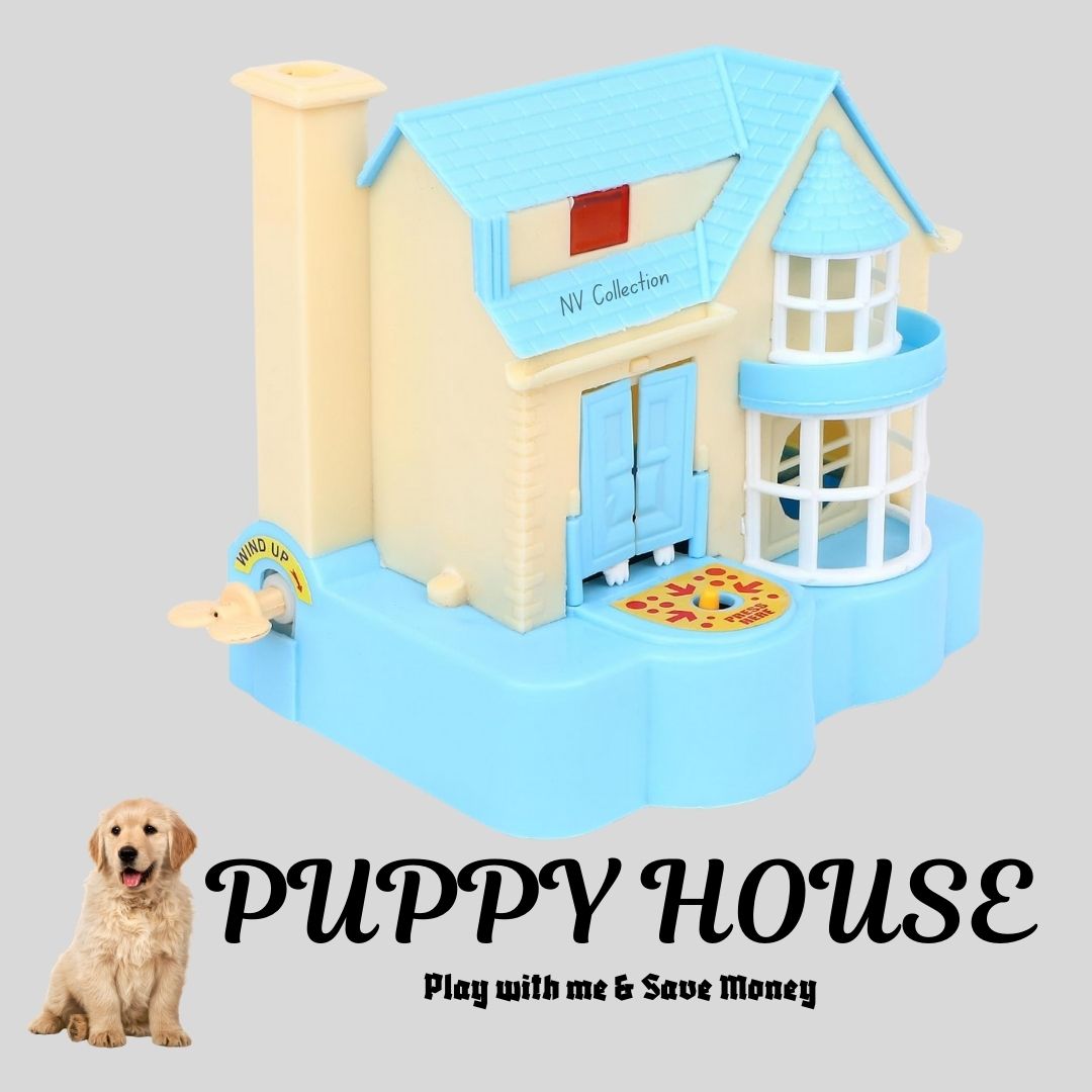 nv collection Surprise Kids with a Fun Dog House Money Bank-picture-18