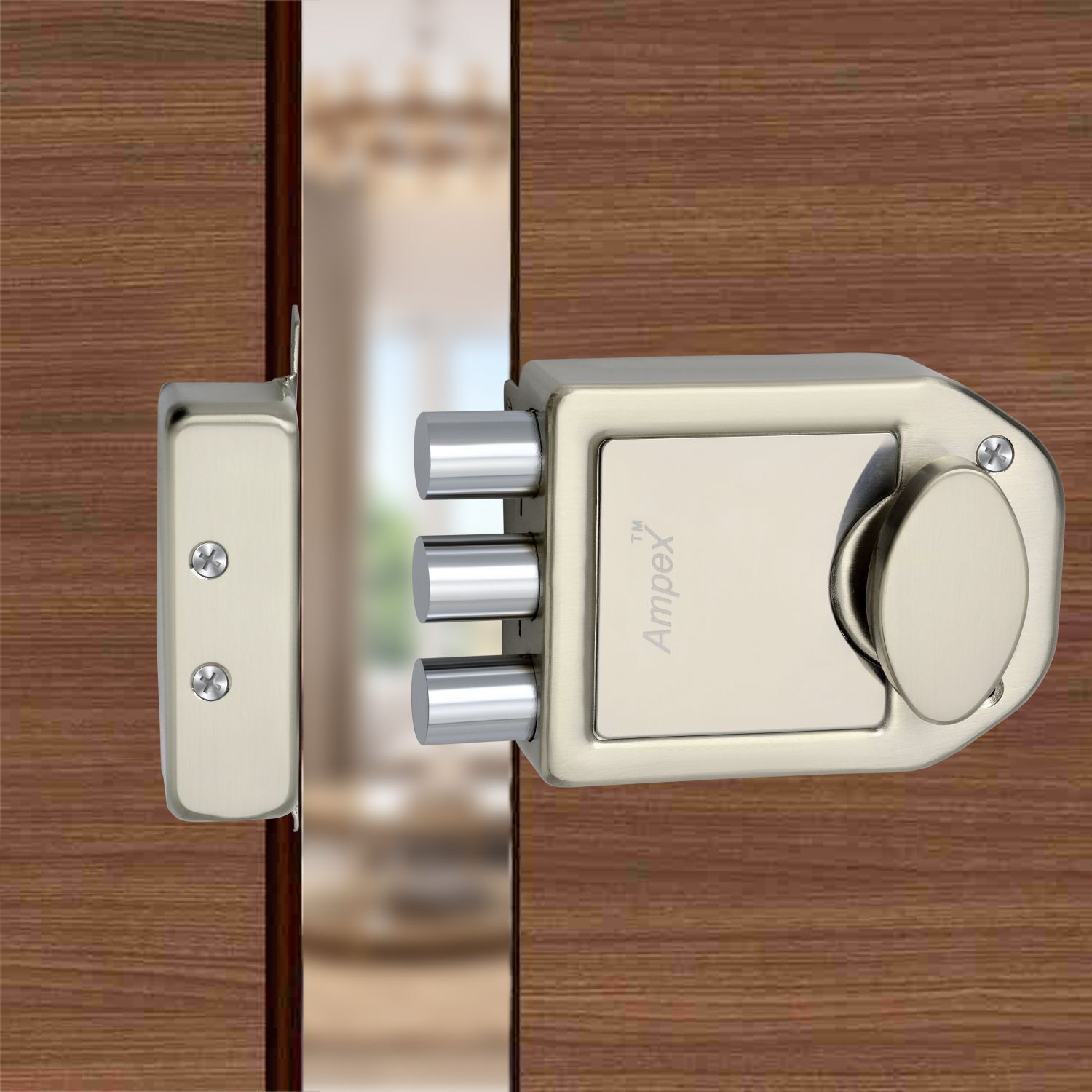 ampex Stainless Steel, Steel Metallic Deadbolts-picture-18