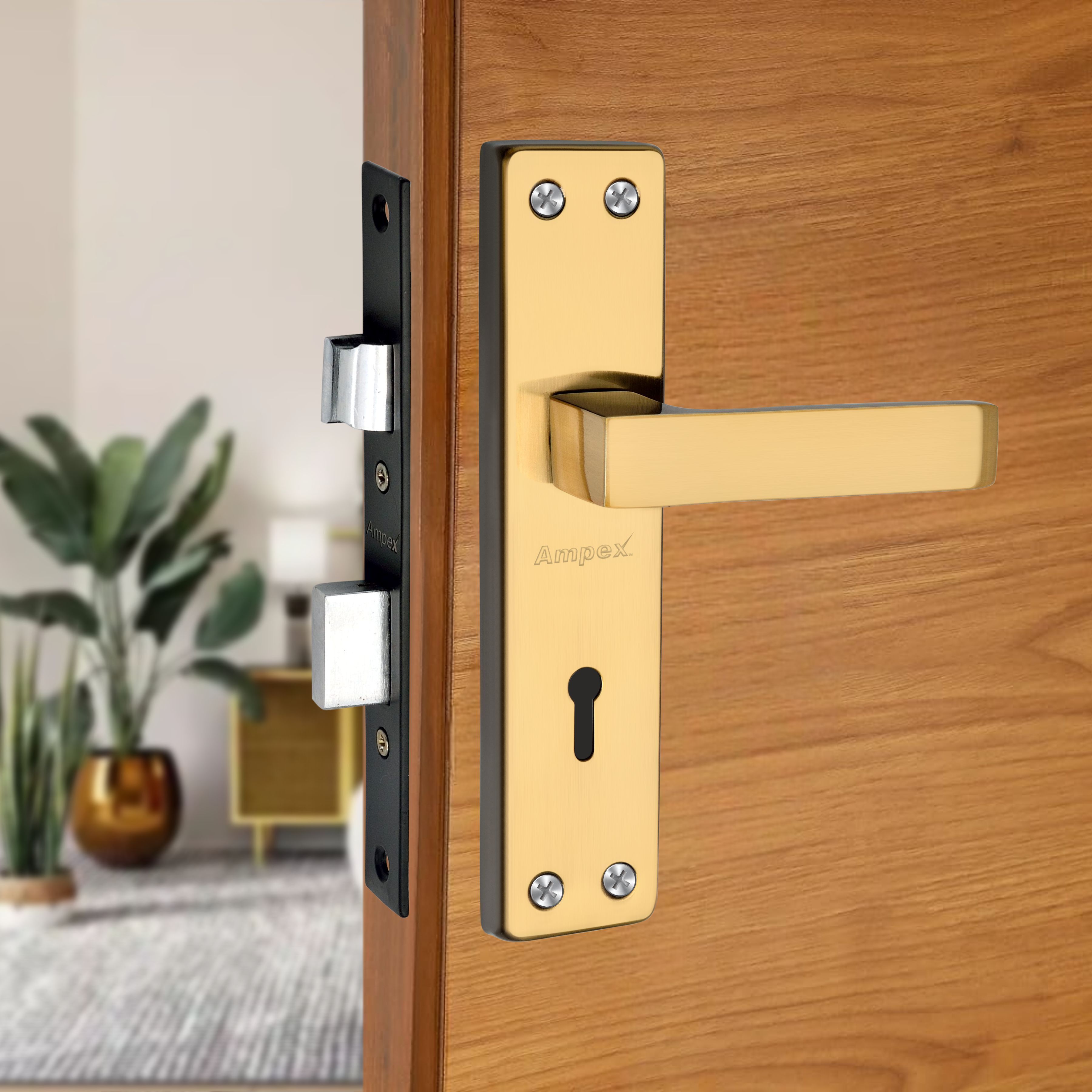 Stainless Steel, Brass, Iron Glossy Door knobs-image-2