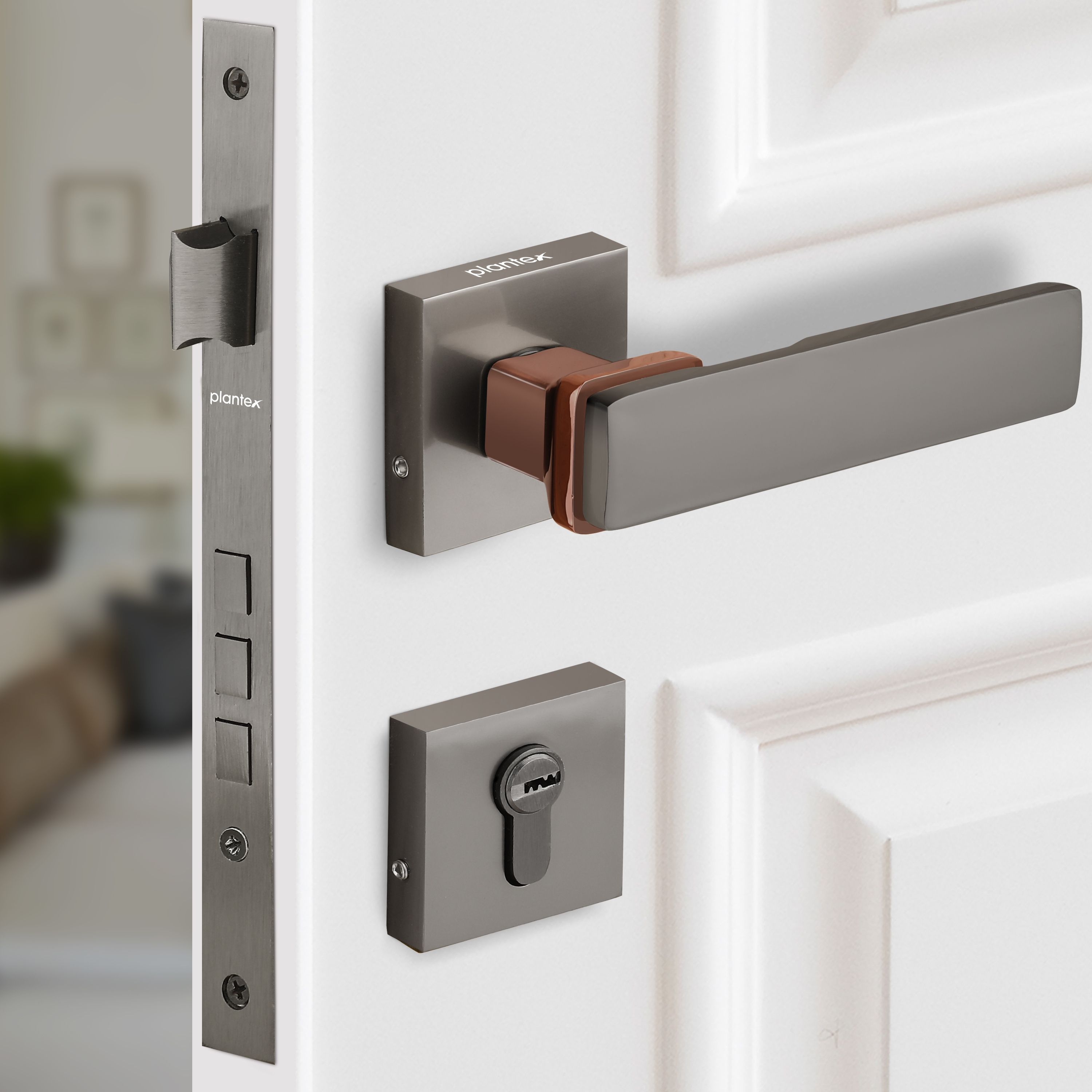 plantex Brass, Zinc Alloy Glossy Handlesets-picture-21