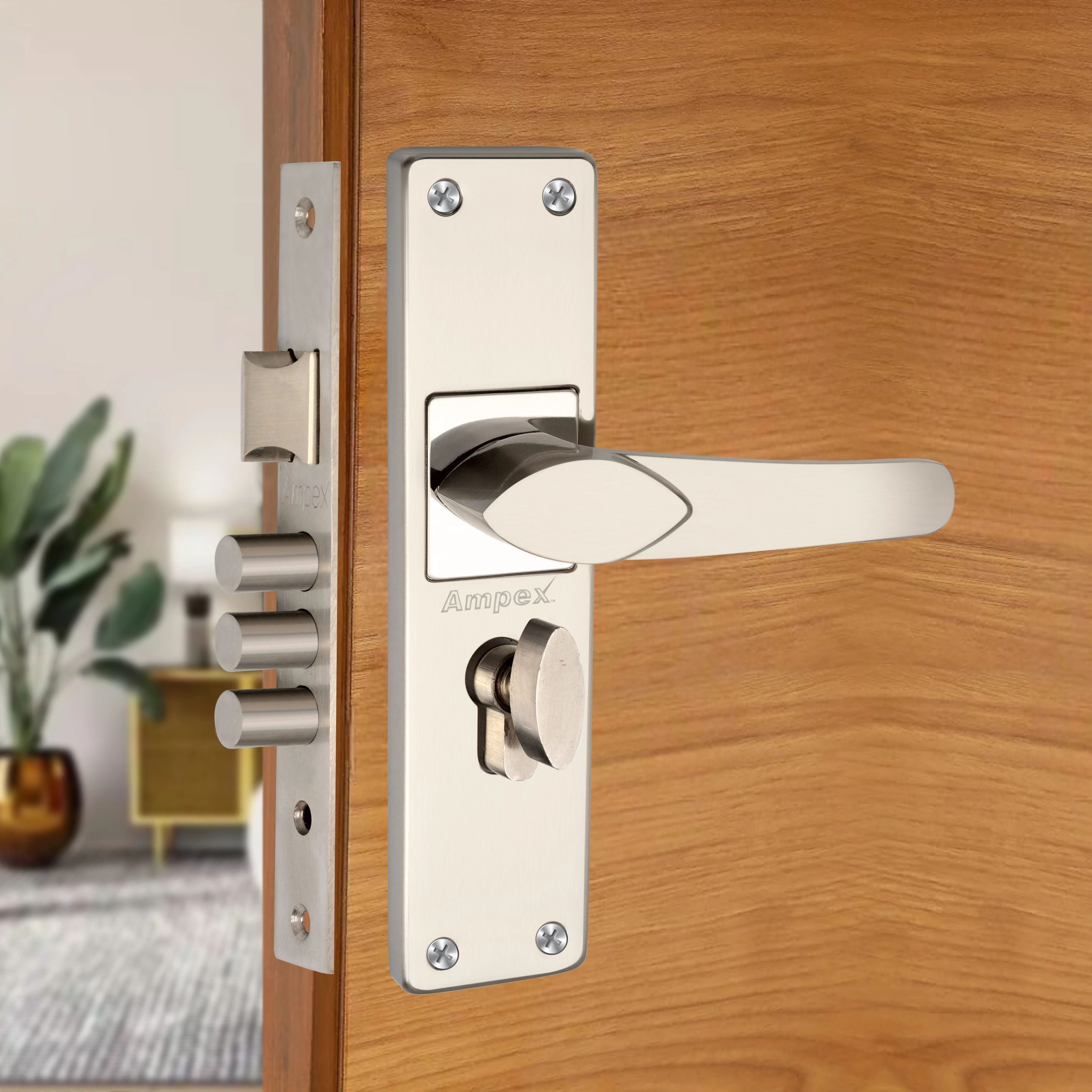 Brass, Stainless Steel Glossy Deadbolts