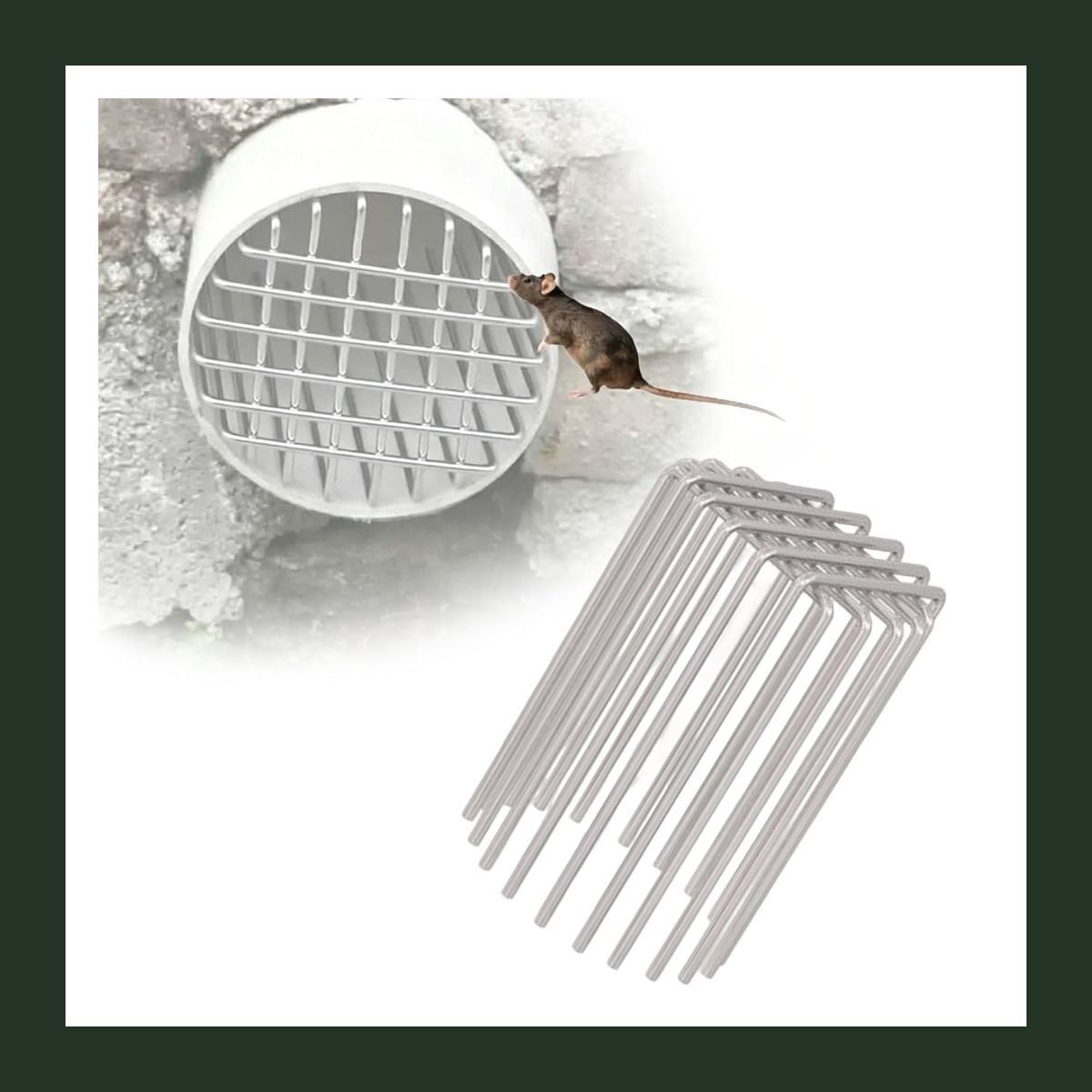 shoppeall Basin, Bathroom Sink, Bathtub, Kitchen Sink, Floor Stainless Steel Pop-Up Strainer-picture-25