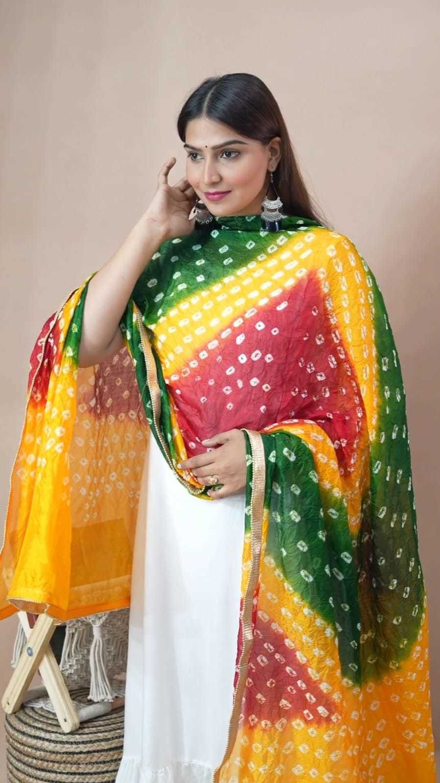 Net Embroidered Multicolor Women Dupatta