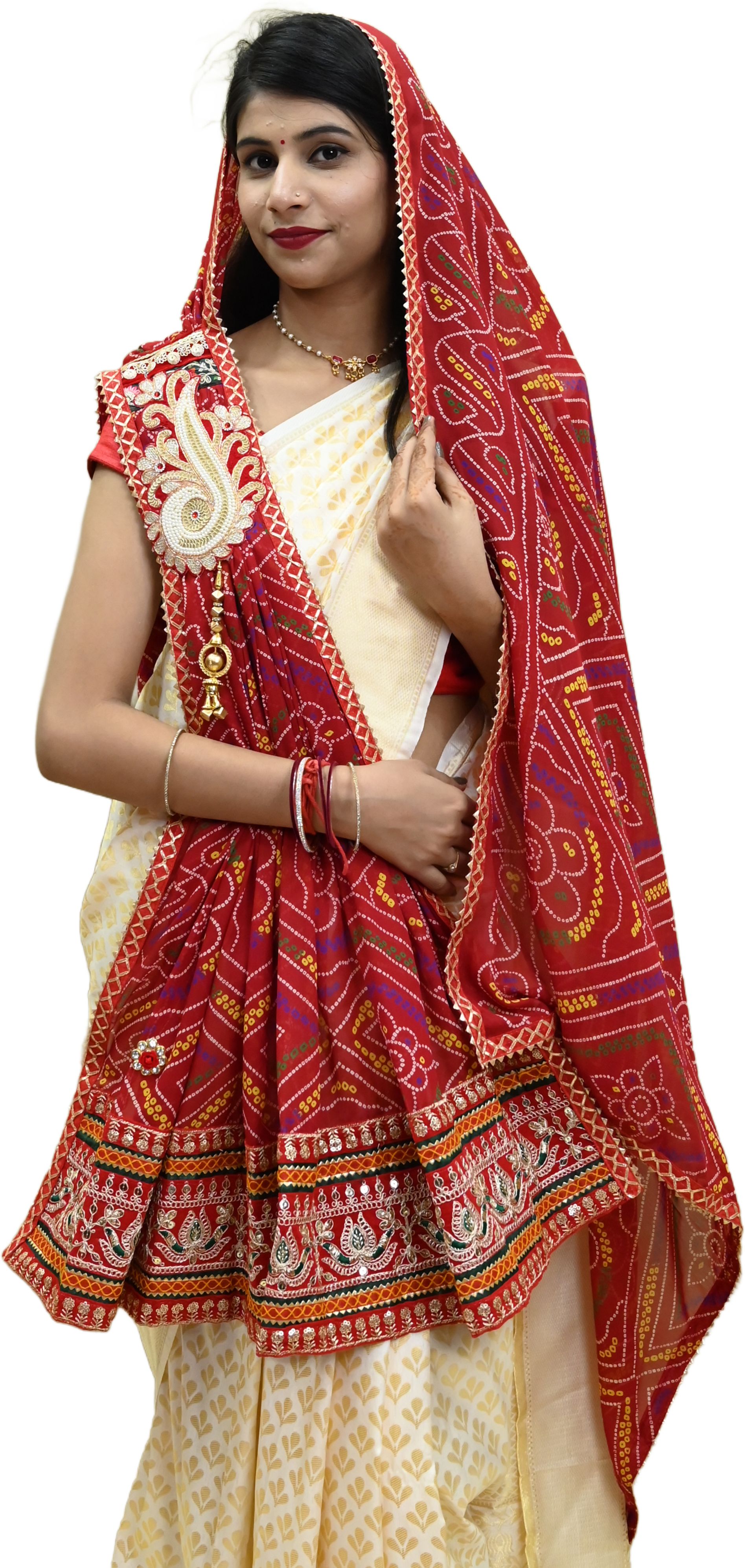 Poly Georgette Embroidered Multicolor Women Dupatta-image-38