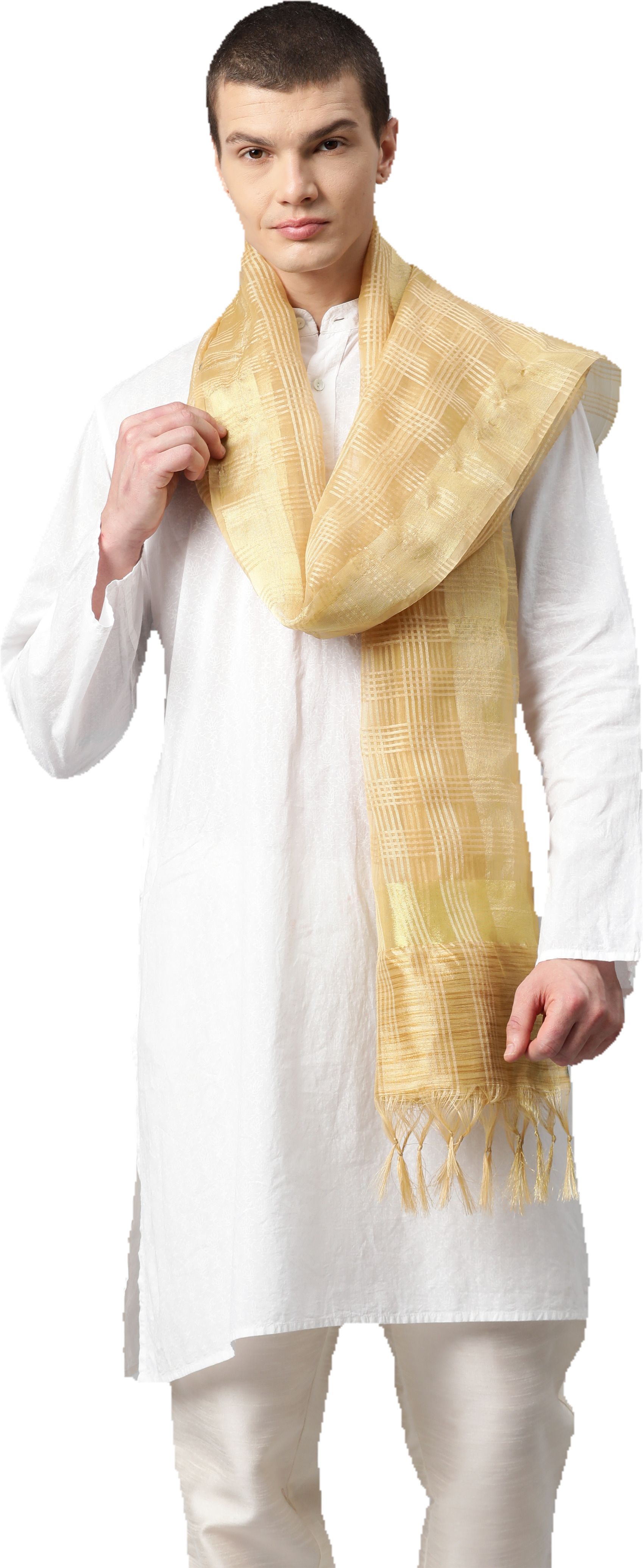 Silk Blend Striped Beige Men Dupatta-image-19