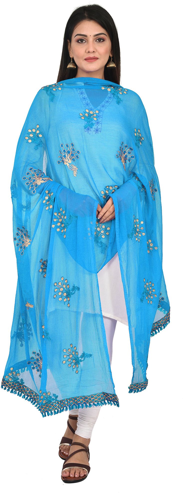whiteheaven Chiffon Embroidered Light Blue Women Dupatta-picture-28